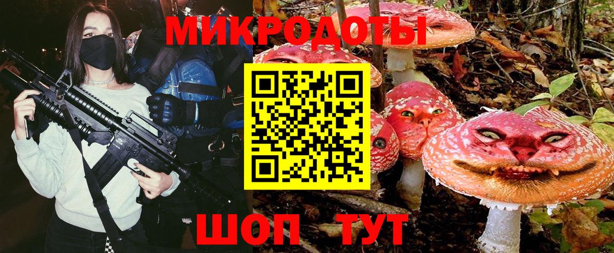 Галлюциногенные грибы Psilocybine cubensis Добрянка