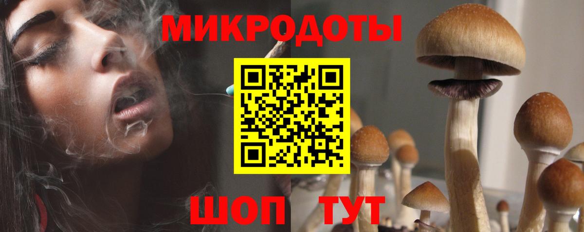 Галлюциногенные грибы Psilocybe  Псилоцибиновые грибы мухоморы  Добрянка  Вход с VPN 